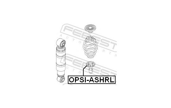 Placa de resorte, Imagen 2