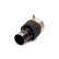Fuelles de aire, Miniatura 2