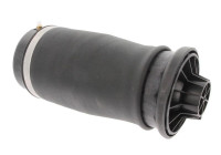 Suspensión neumática, chasis