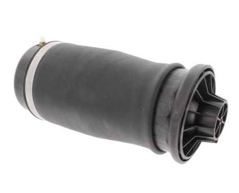 Suspensión neumática, chasis