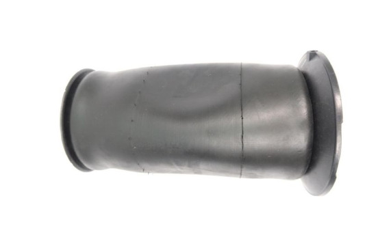 Suspensión neumática, chasis