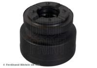 escala ADBP800456 Blue Print