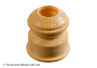 escala ADBP800469 Blue Print