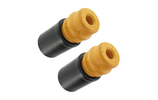 KIT DE PROTECCIÓN VKDP 33111 T SKF