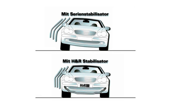 Juego de barras estabilizadoras H&R aptas para Tesla Model 3 2018- (incl. Performance) - 30/21 mm (incl. mo HR 336593 H&R, Imagen 3