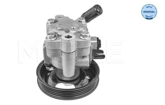 Bomba servo, Imagen 2