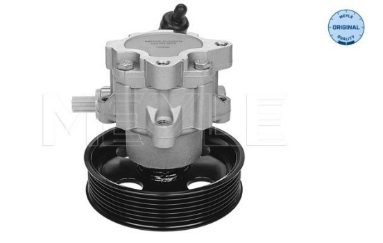 Bomba servo, Imagen 2