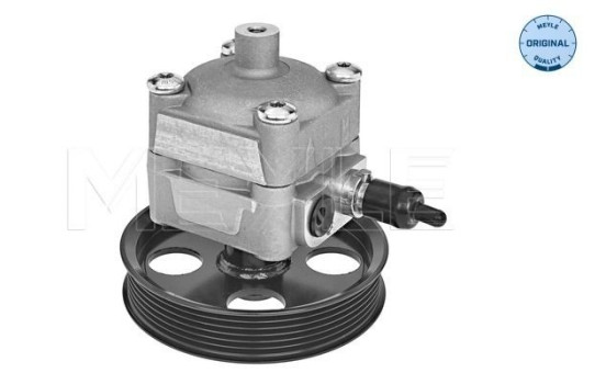 Bomba servo, Imagen 2
