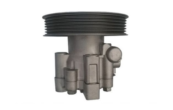 Bomba servo, Imagen 4