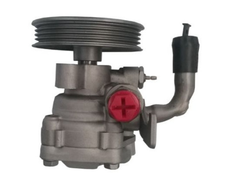 Bomba servo