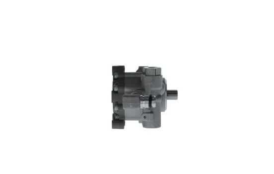 Bomba servo, Imagen 4