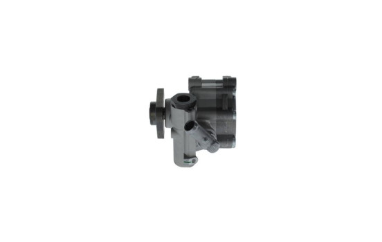 Bomba servo, Imagen 2