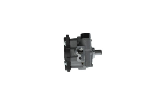Bomba servo, Imagen 2