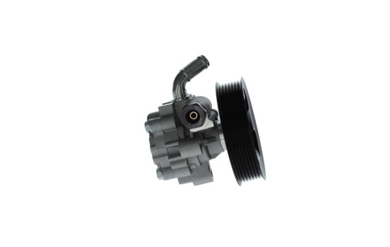 Bomba servo, Imagen 4