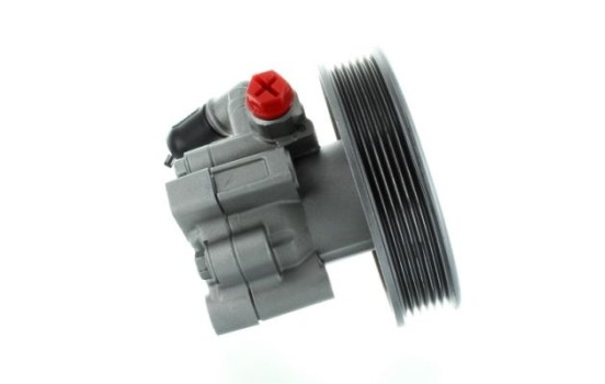 Bomba servo