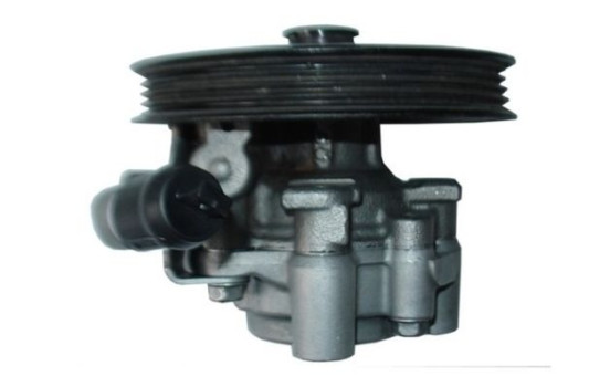 Bomba servo, Imagen 4