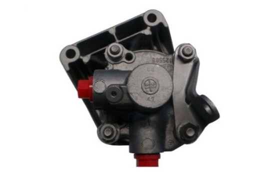 Bomba servo, Imagen 2