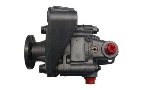 Bomba servo, Imagen 3