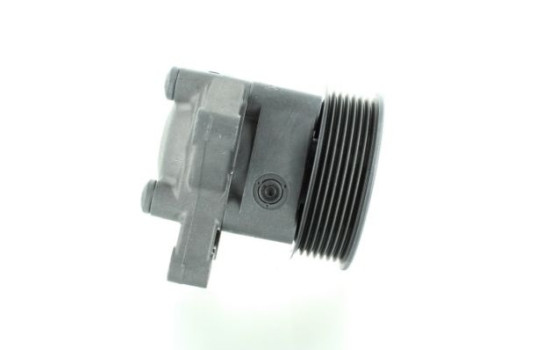 Bomba servo, Imagen 4