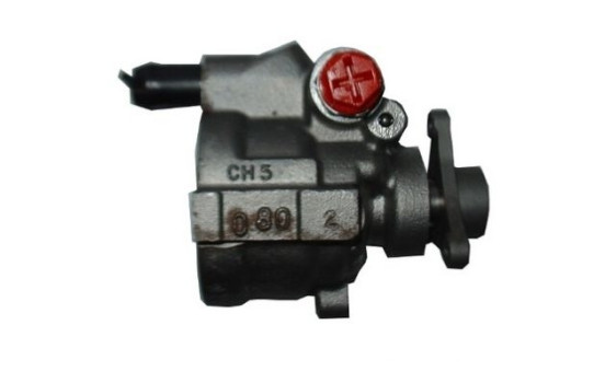 servobomba, Imagen 3