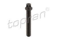 Tornillo de polea