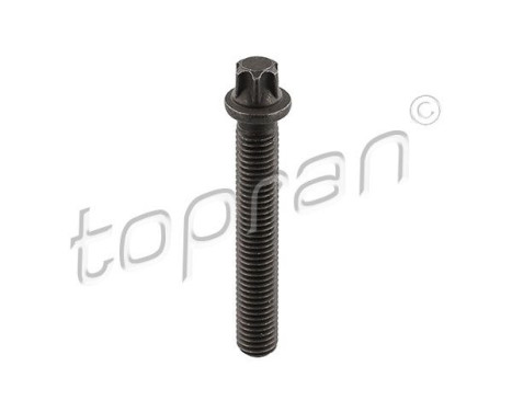 Tornillo de polea