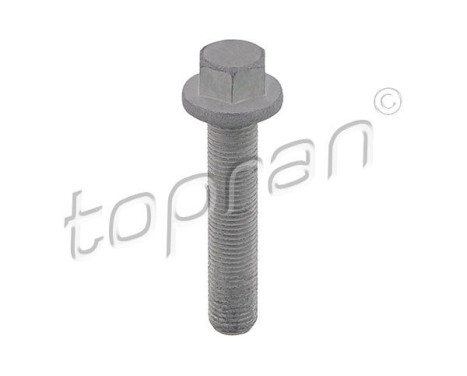 Tornillo de polea