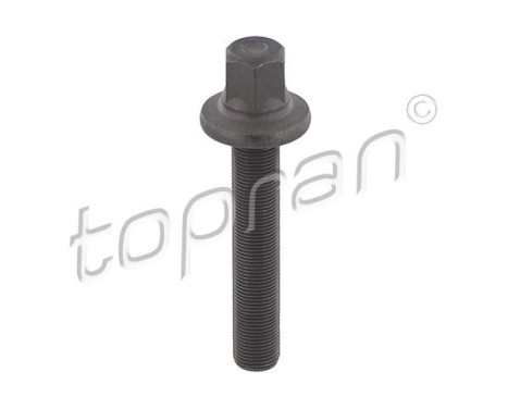 Tornillo de polea