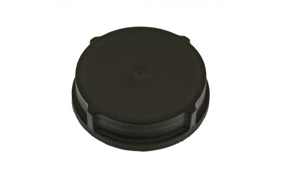 tapón de escarcha