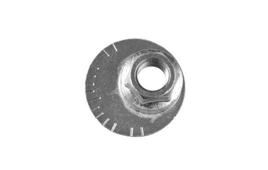 Tornillo de corrección de inclinación TED48023 Tedgum, Imagen 2