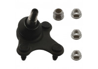 Rótula 40668 Febi ProKit