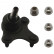 Rótula 40668 Febi ProKit