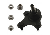 Rótula 40669 Febi ProKit