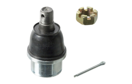 Rótula 41716 Febi ProKit