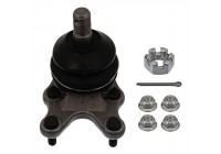 Rótula 42998 Febi ProKit