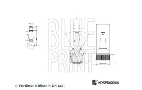 Rótula ADBP860066 Blue Print
