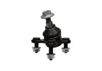 Rótula SBJ-10008 Kavo parts