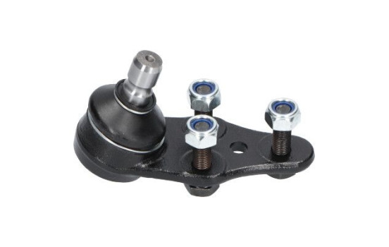 Rótula SBJ-1004 Kavo parts, Imagen 5
