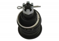 Rótula SBJ-2003 Kavo parts
