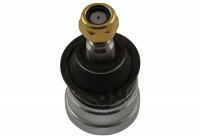 Rótula SBJ-5501 Kavo parts