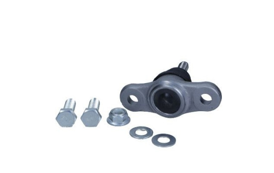 Rótula, Imagen 2