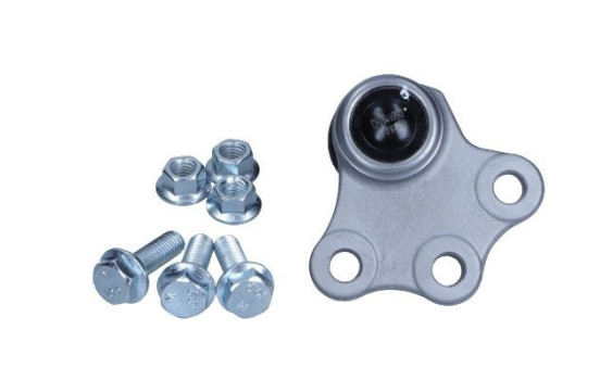 Rótula, Imagen 2