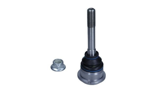 Rótula, Imagen 2