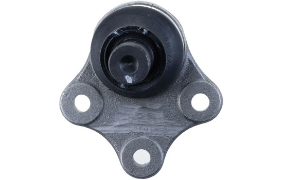 Rótula, Imagen 6