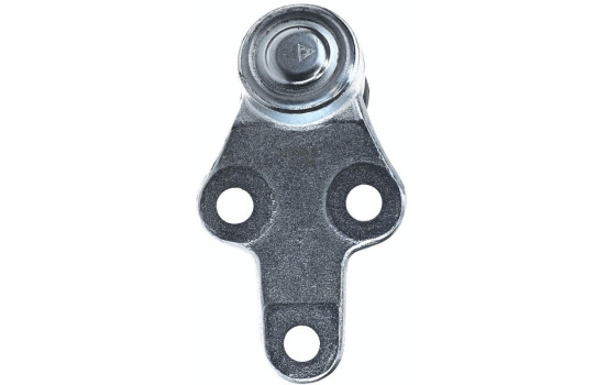 Rótula, Imagen 5