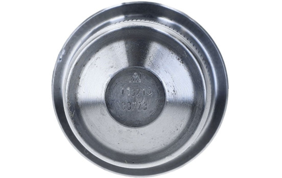 Rótula, Imagen 2