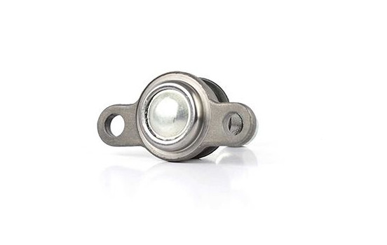 Rótula, Imagen 2