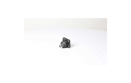 Rótula, Imagen 2
