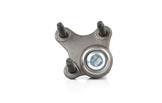 Rótula, Imagen 2