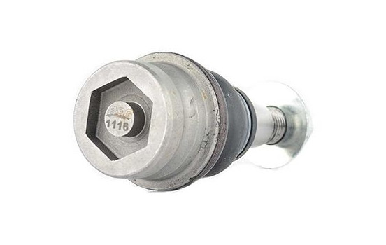 Rótula, Imagen 2